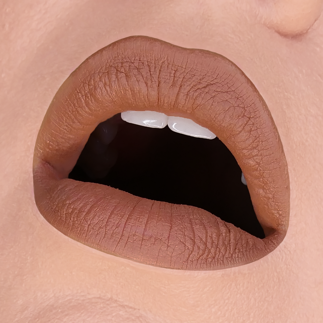 LIP MUD HB - 345