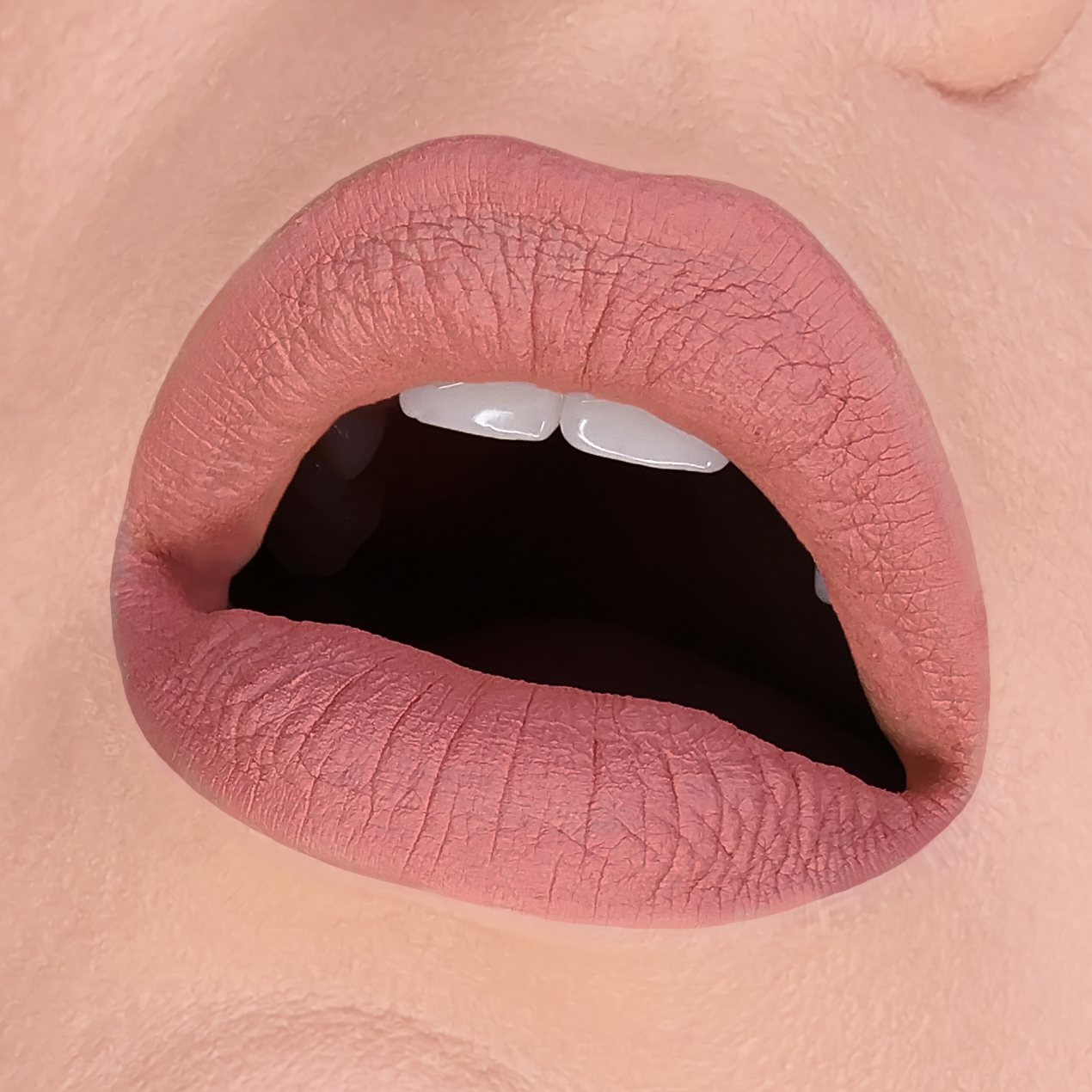 LIP MUD HB - 487