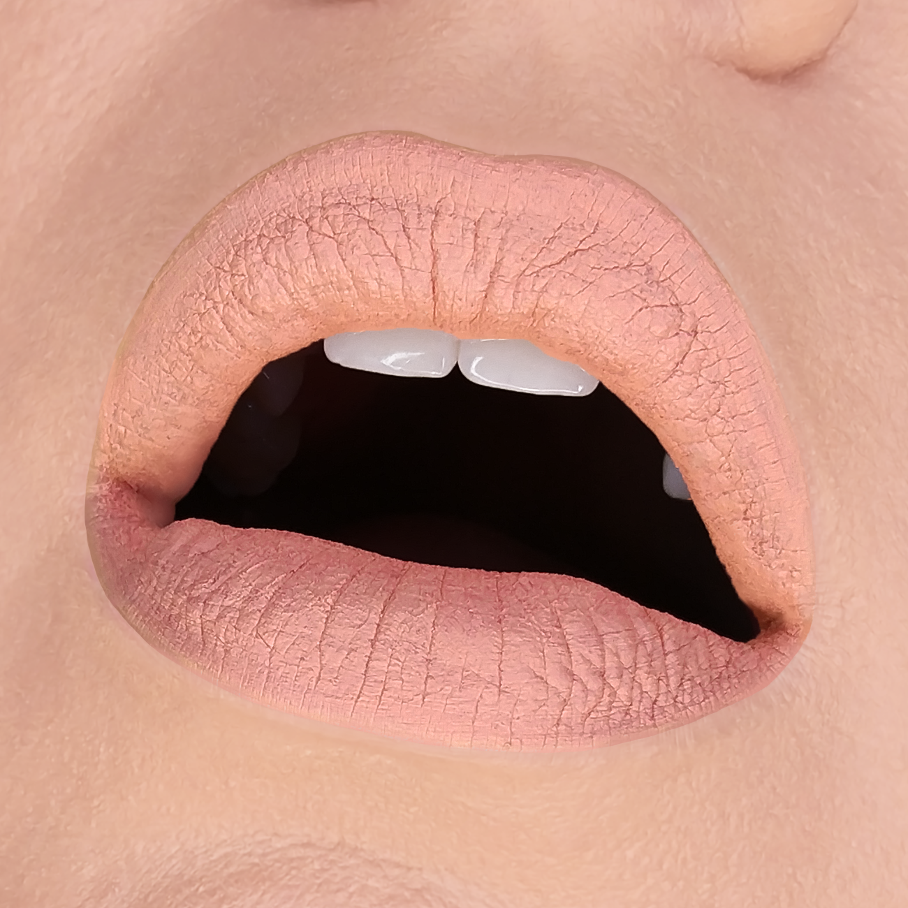 LIP MUD HB - 593